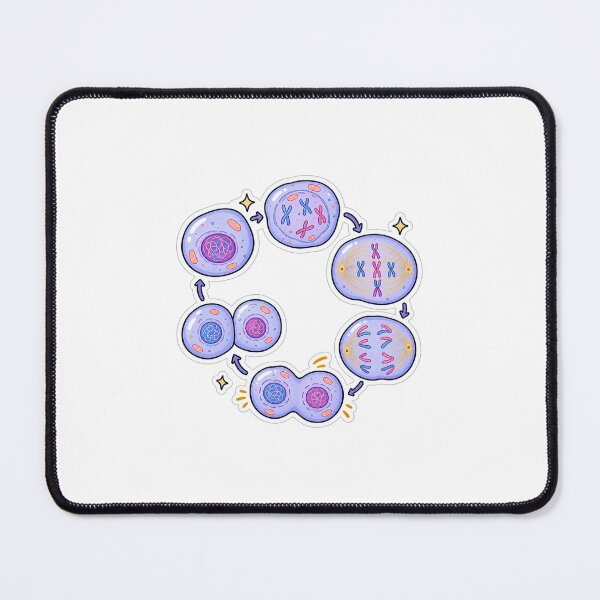 Item preview, Mitosis cute science biology sticker designed and sold by mitosister.