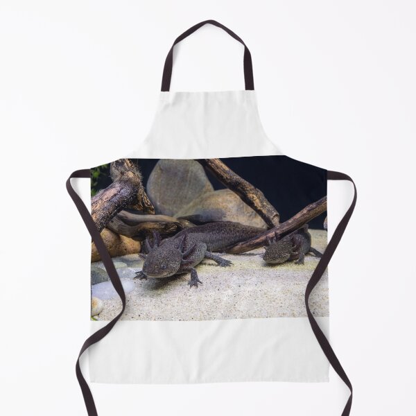Item preview, Curious Axolotl Duo designed and sold by Astute-Artio-Photography.