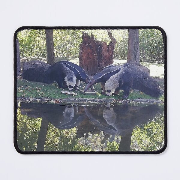 Item preview, majestic giant anteaters eating designed and sold by MiraNomegusta.