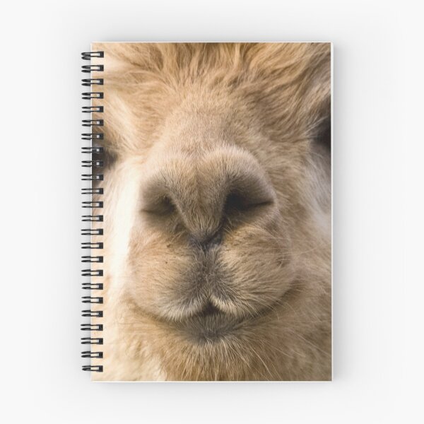 Item preview, Alpaca at One Tree Hill Alpacas (1) designed and sold by Wolf Sverak Photography.