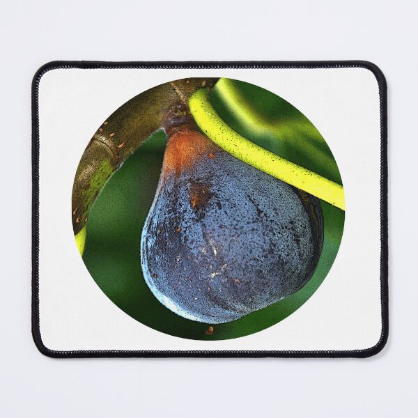 Item preview, Fig Heart designed and sold by Café Com Pirraça.