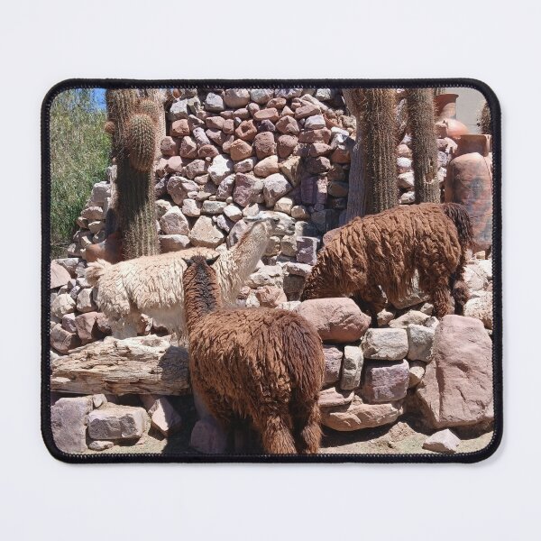 Item preview, Fluffy Llamas in Jujuy Desert designed and sold by KIKAJU.