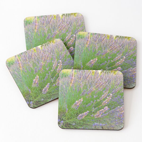 Item preview, Tuscan Lavender Field in Summer Sun, Natural background. Lavender in the field, Italy designed and sold by ollgast5.