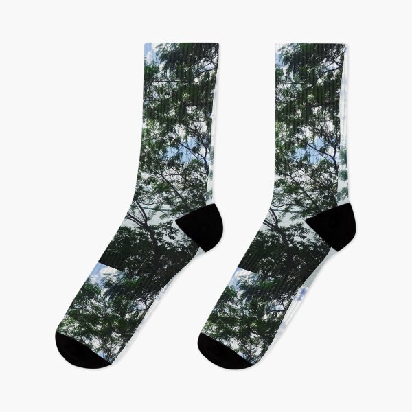 Item preview, Tree Tops designed and sold by ROSENDE ART HOUSE.