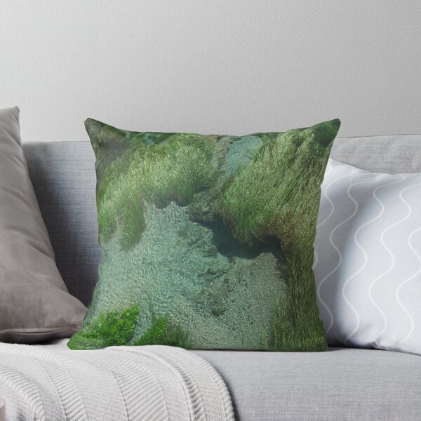 Item preview, Aquatic Plants Seen Through Crystal Clear Water designed and sold by Lindsey Overseas.