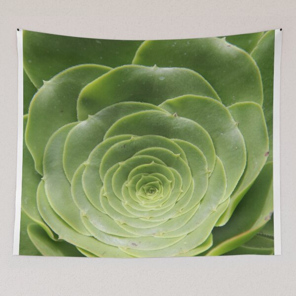 Item preview, The Math of Nature. designed and sold by Dead Parrot Technology.