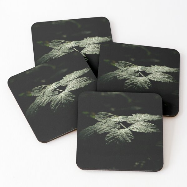 Item preview, Whispers in the Shadows  designed and sold by Wildfeatherphotography.