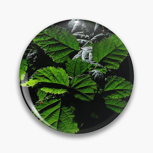 Item preview, Illuminated by Nature designed and sold by Wildfeatherphotography.