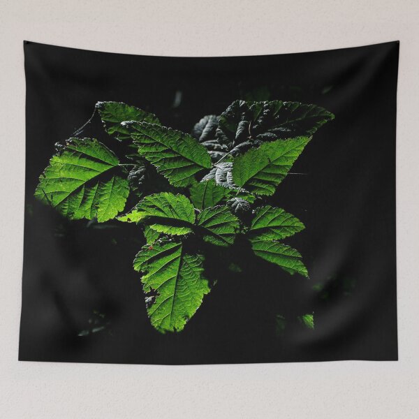 Item preview, Illuminated by Nature designed and sold by Wildfeatherphotography.