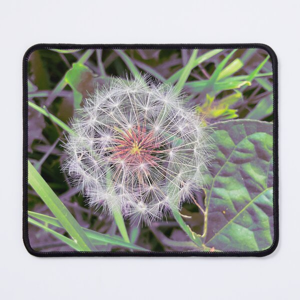 Item preview, October Birthday Wish 4 designed and sold by Abeink1030.