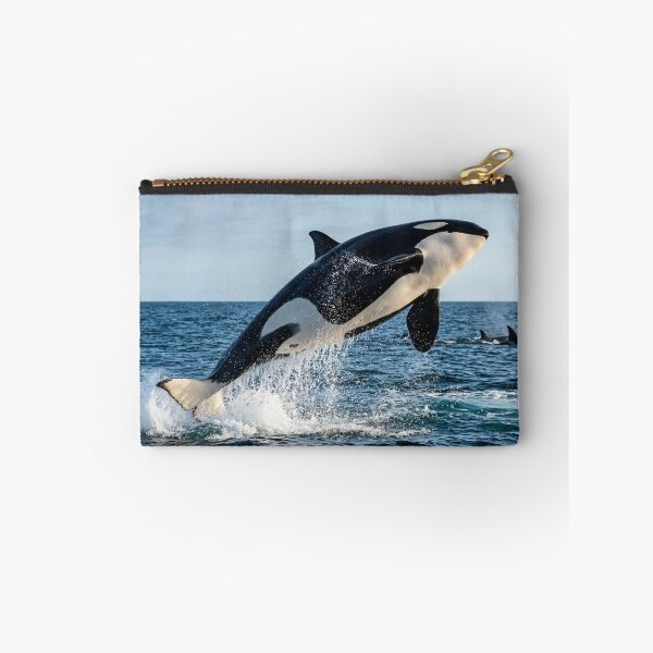 Item preview, Orca designed and sold by Stevercortinas.