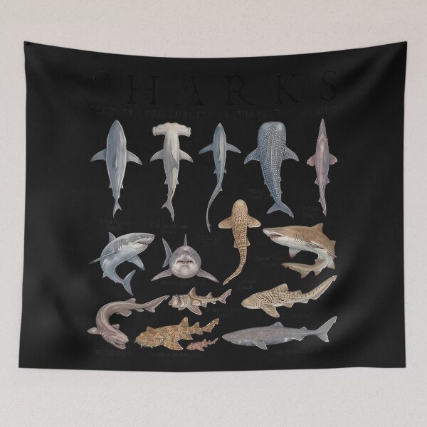 Item preview, Sharks Illustrated Species Of The Ocean World Marine Biology Ocean Animals designed and sold by Moscettakkk.