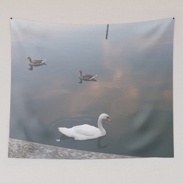 Item preview, Swan with the Ducks designed and sold by Lu-Lula.