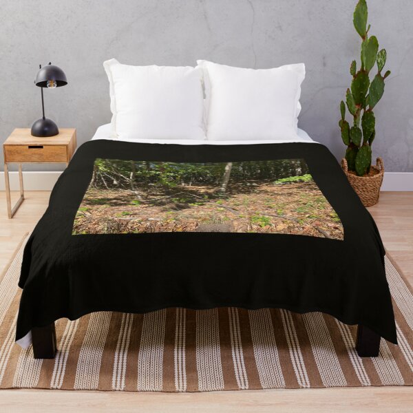 Item preview, Find the chipmunk. designed and sold by Amanda1775.