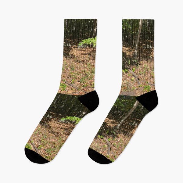Item preview, Find the chipmunk.  designed and sold by Amanda1775.