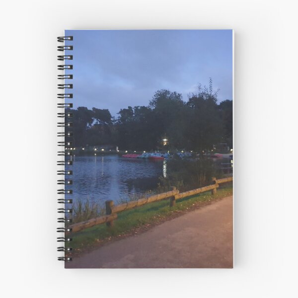 Item preview, Lights around a Lake Early Autumn Evening designed and sold by Lu-Lula.