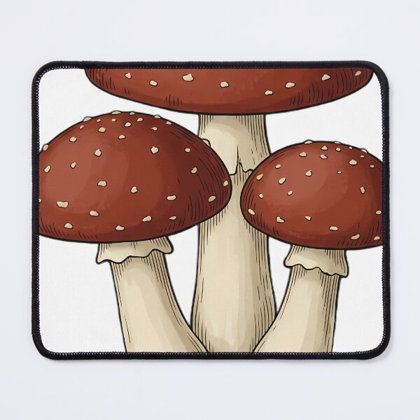 Item preview, Vintage Naturalist Fly Agaric — Antique Botanical Plate designed and sold by Catch333.