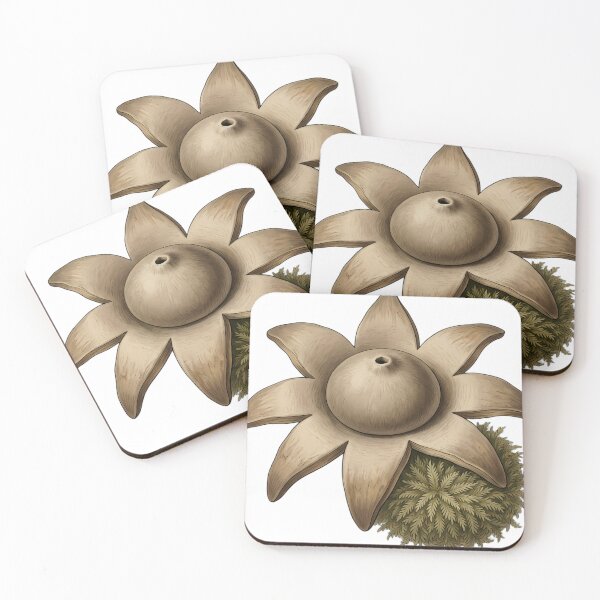 Artikelvorschau, Vintage Naturalist Earthstar Fungus — Antique Botanical Plate entworfen und verkauft von Catch333.