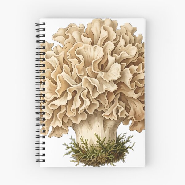 Aperçu de l'œuvre Vintage Naturalist Cauliflower Fungus — Antique Fungi Art créée et vendue par Catch333.