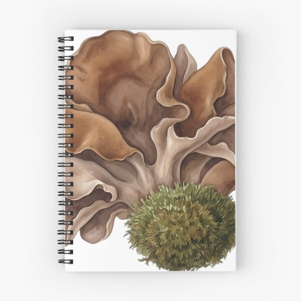 Aperçu de l'œuvre Vintage Naturalist Wood Ear Fungus — Antique Fungi Art créée et vendue par Catch333.