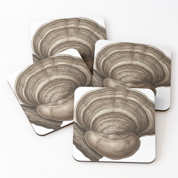 Artikelvorschau, Vintage Naturalist Hoof Fungus Bracket — Antique Botanical Plate entworfen und verkauft von Catch333.
