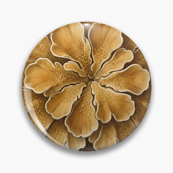 Item preview, Vintage Naturalist Sunburst Lichen — Antique Botanical Plate designed and sold by Catch333.