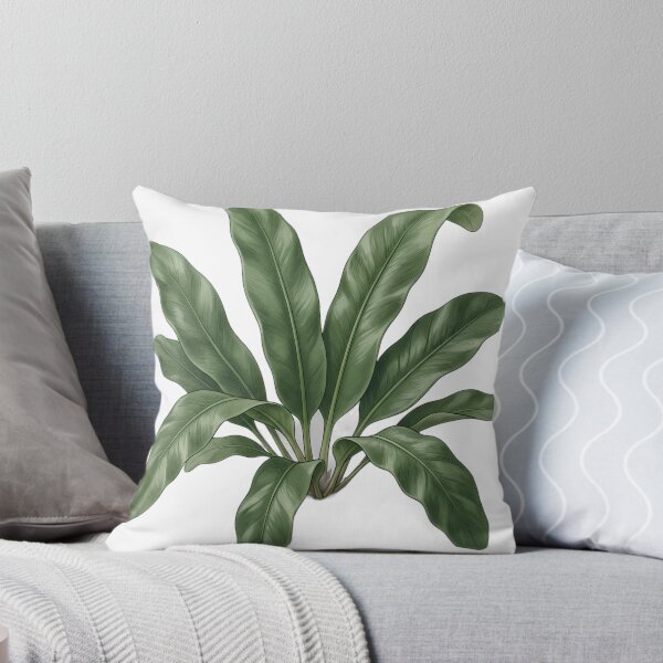Item preview, Vintage Naturalist Harts Tongue Fern — Antique Botanical Plate designed and sold by Catch333.