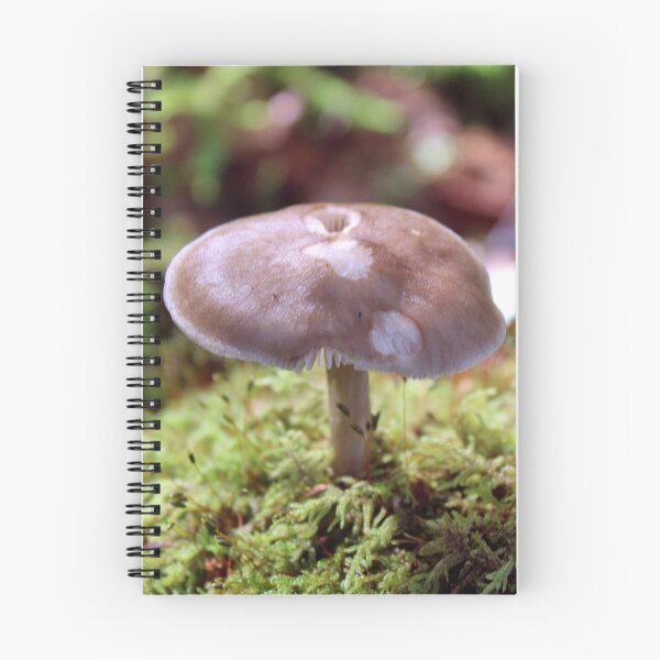 Item preview, fungi designed and sold by KathleenDawson.