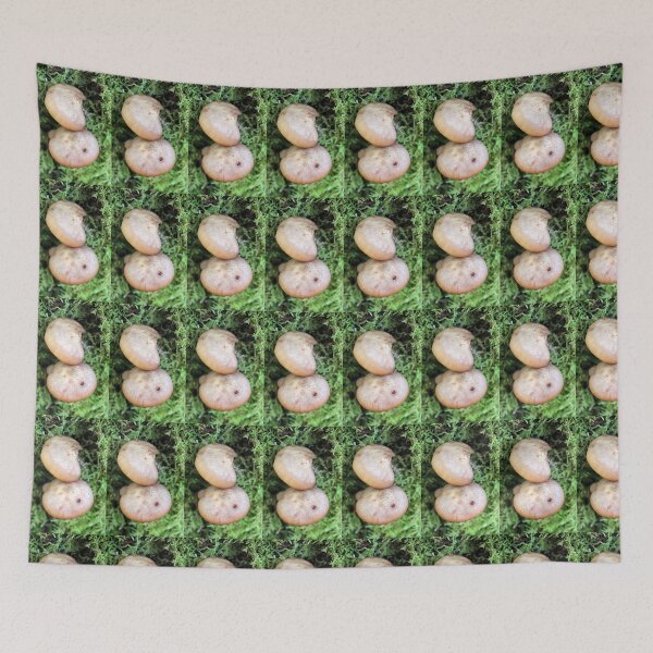 Item preview, fungi designed and sold by KathleenDawson.