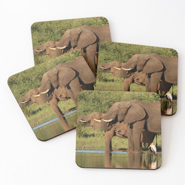 Item preview, African Elephant Family Drinking Water in the Kruger National Park designed and sold by Ashley Crookes.