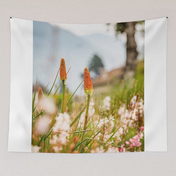 Item preview, Red Hot Poker Flowers Blooming In Meadow Close Up designed and sold by simonwarz.