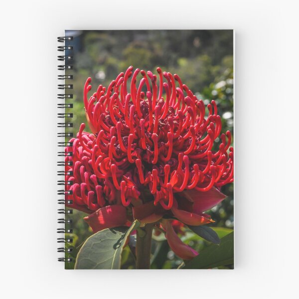 Item preview, Waratah designed and sold by House of Golden.