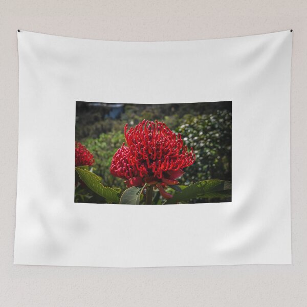 Item preview, Waratah designed and sold by House of Golden.