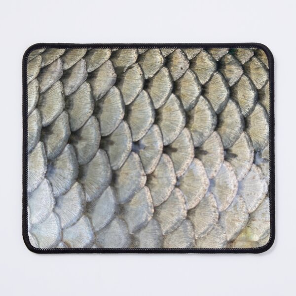 Item preview, Common Carp Scales 1 designed and sold by JayceTheCC.