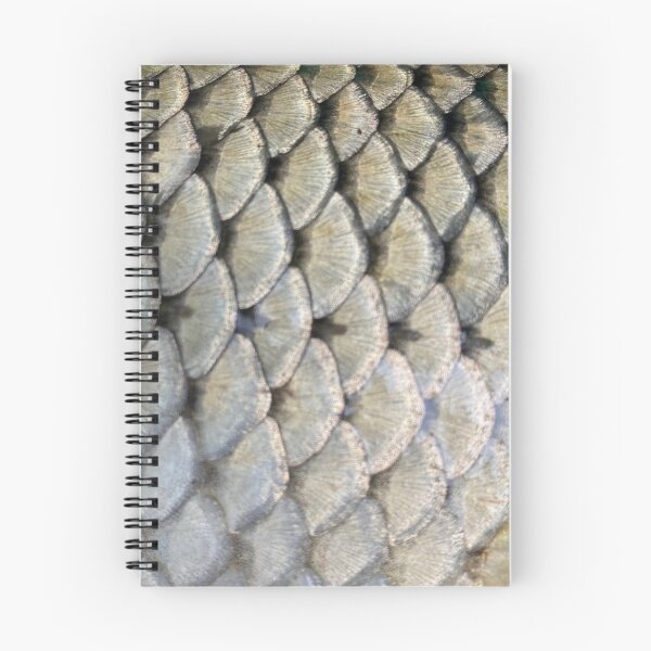 Item preview, Common Carp Scales 1 designed and sold by JayceTheCC.