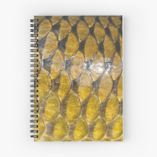 Item preview, Common Carp Scales 2 designed and sold by JayceTheCC.