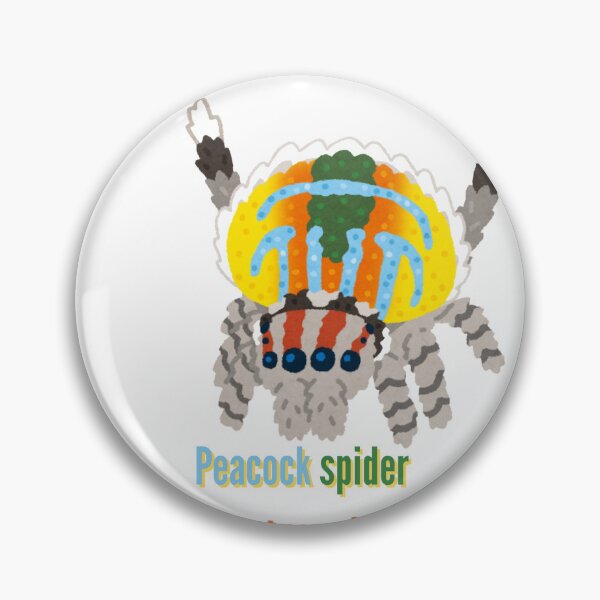 Item preview, Peacock Spider Maratus Volans Jumping Spider Colourful  designed and sold by Ant Category.