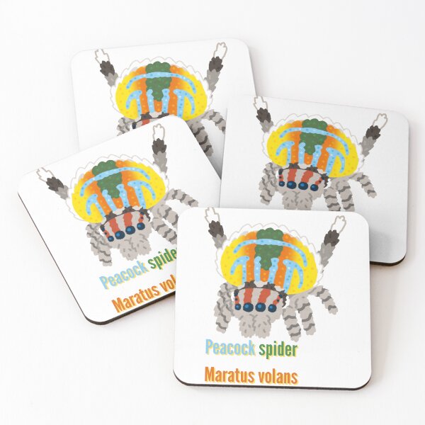 Item preview, Peacock Spider Maratus Volans Jumping Spider Colourful  designed and sold by Ant Category.