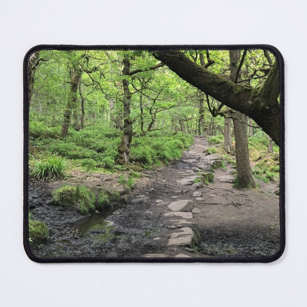 Item preview, Path Through Ecclesall Woods. Ancient Woodland Trails in Sheffield designed and sold by Astute-Artio-Photography.