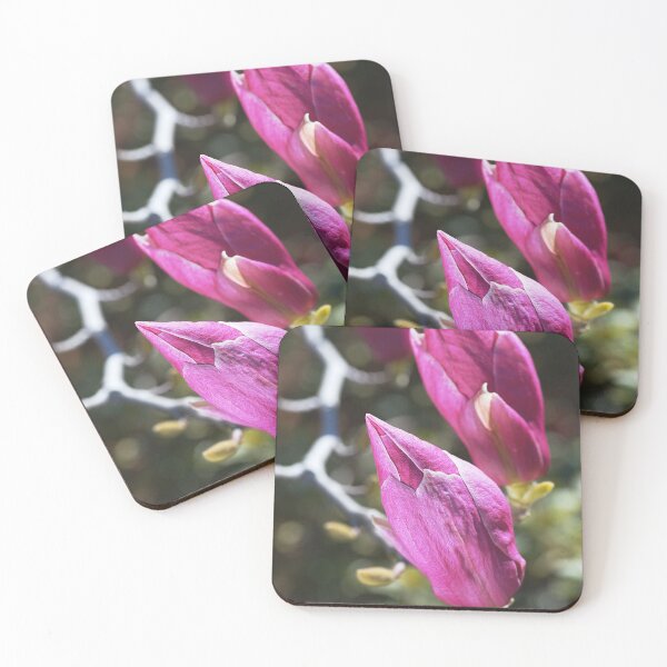 Item preview, Magnolia's Family designed and sold by Joy Watson - Natural Light Photography .