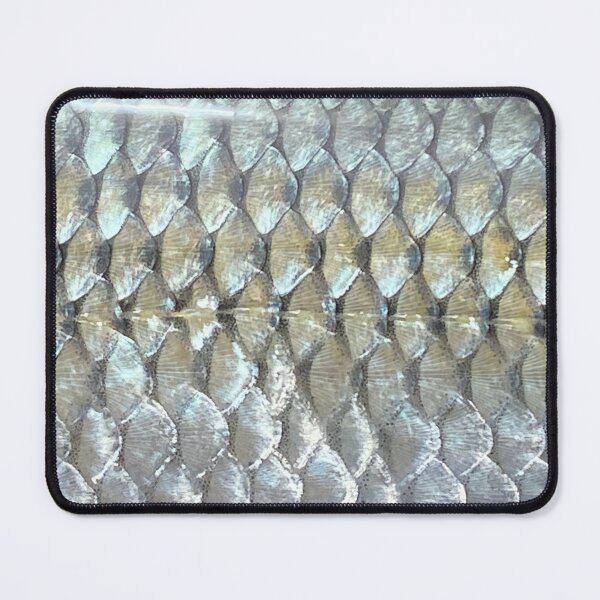 Item preview, Fallfish Scales 1 designed and sold by JayceTheCC.