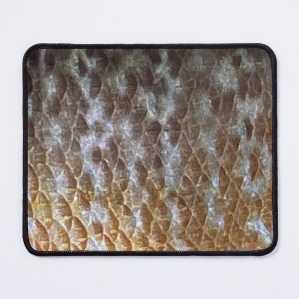 Item preview, Greengill Sunfish Scales 1 designed and sold by JayceTheCC.