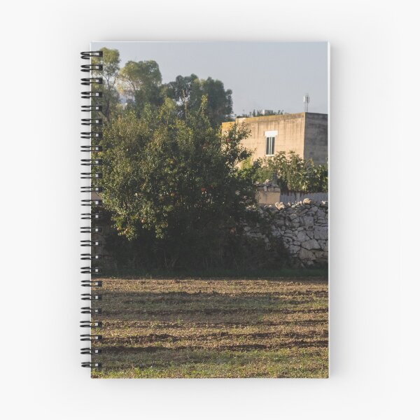 Item preview, Sunlit Rural Field With Stone Wall and Tree Near Farmhouse in Mediterranean Countryside designed and sold by Nmallia.