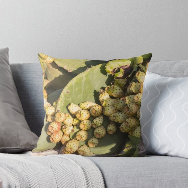 Item preview, Prickly Pear Cactus With Clusters Of Yellow Fruit on Sunlit Pads in Dry Landscape designed and sold by Nmallia.