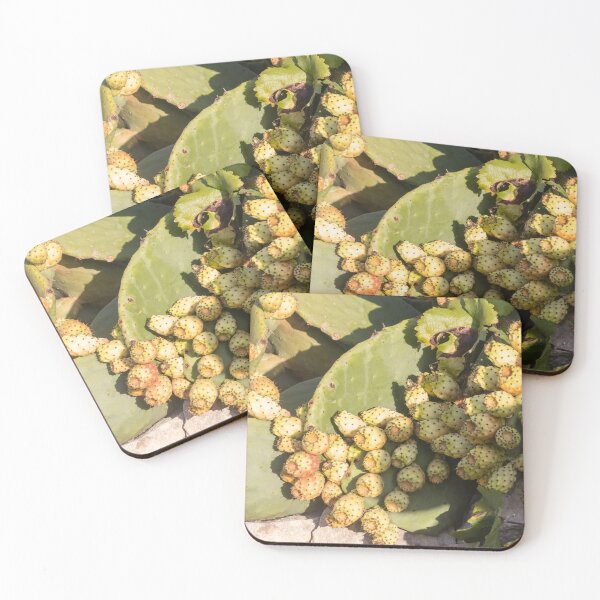 Item preview, Prickly Pear Cactus With Clusters Of Yellow Fruit on Sunlit Pads in Dry Landscape designed and sold by Nmallia.