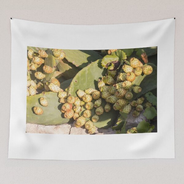 Item preview, Prickly Pear Cactus With Clusters Of Yellow Fruit on Sunlit Pads in Dry Landscape designed and sold by Nmallia.