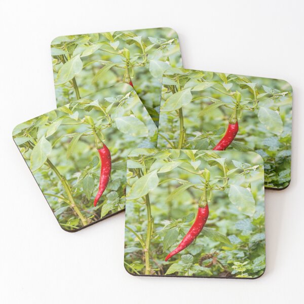 Item preview, Red Chili Pepper Hanging on Plant in Green Garden Closeup — Spicy Fresh Produce designed and sold by Nmallia.