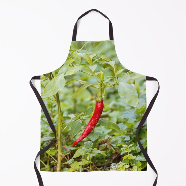 Item preview, Red Chili Pepper Hanging on Plant in Green Garden Closeup — Spicy Fresh Produce designed and sold by Nmallia.