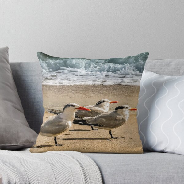 Item preview, Three Royal Terns at the Shore designed and sold by Craig Bernstein.