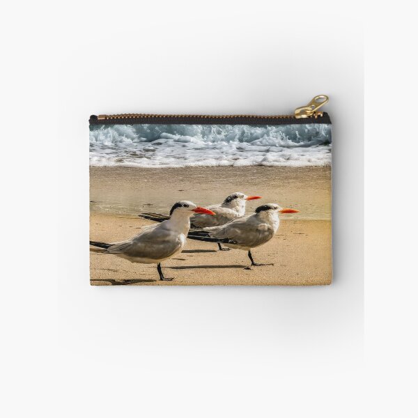 Item preview, Three Royal Terns at the Shore designed and sold by Craig Bernstein.